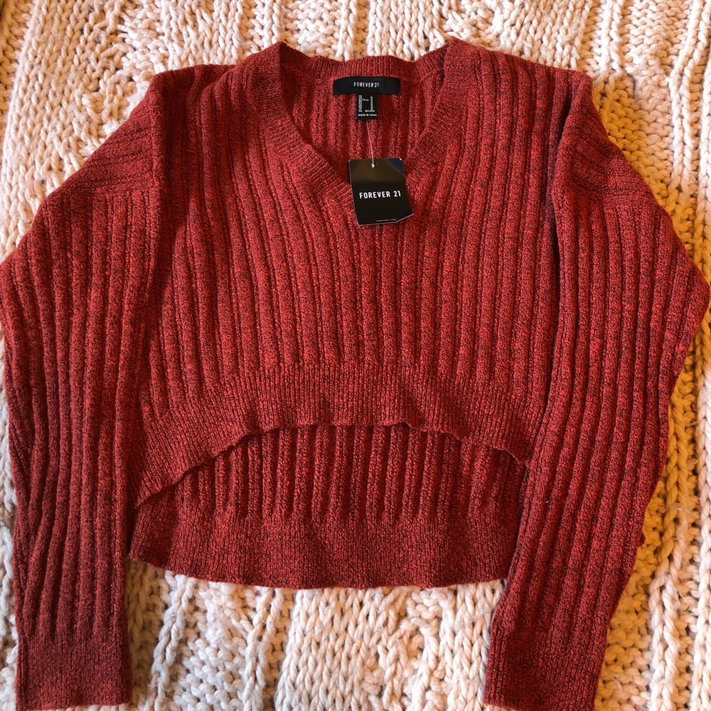 F21 Cropped Sweater